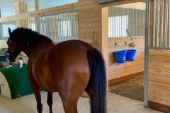 Barns/Stables