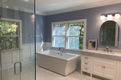 Bath Renovation
